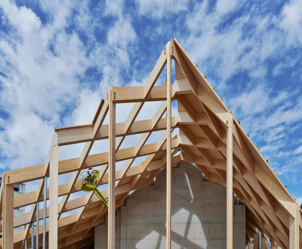 Furtwangen Montagebild