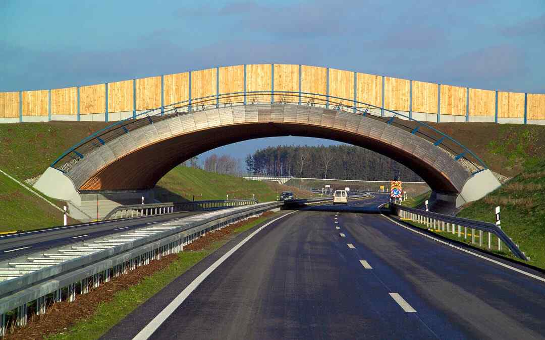 Wildbrücke B96