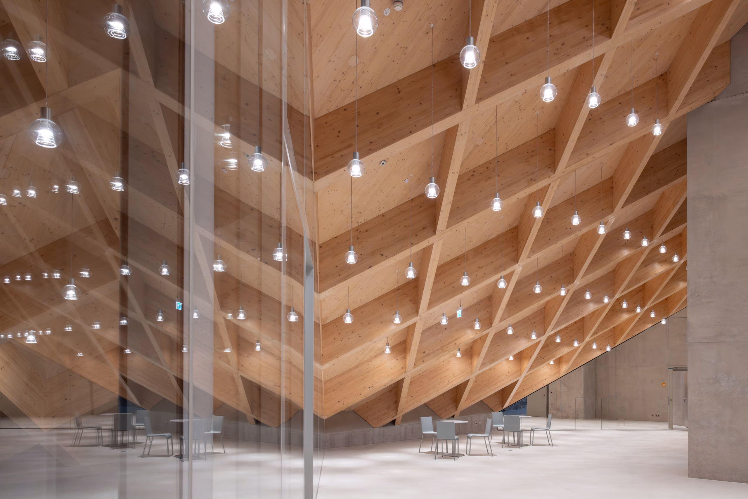 Siedle Kunstmuseum Holzbau 5 scaled